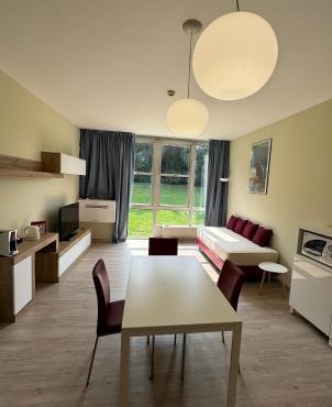 Apartment Borgo 229T
