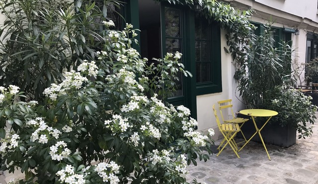 apartment courtyard with trees, in the heart of Paris