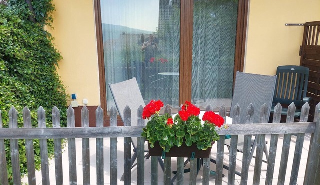 Apartment with two bedrooms and terrace