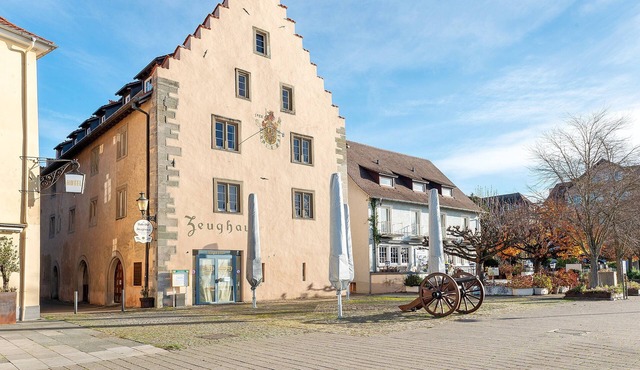 Apartment 'Directly On The Überlingen' with Lake View and Wi-Fi