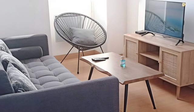 Apartment 'Duplex 40 M2 Centre Ville' with Wi-Fi