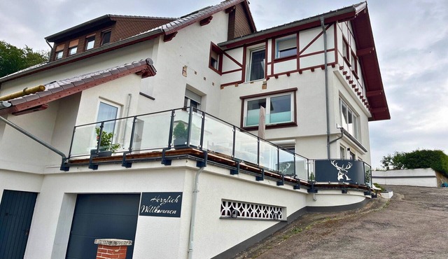 Apartment Eifelglück with roof terrace