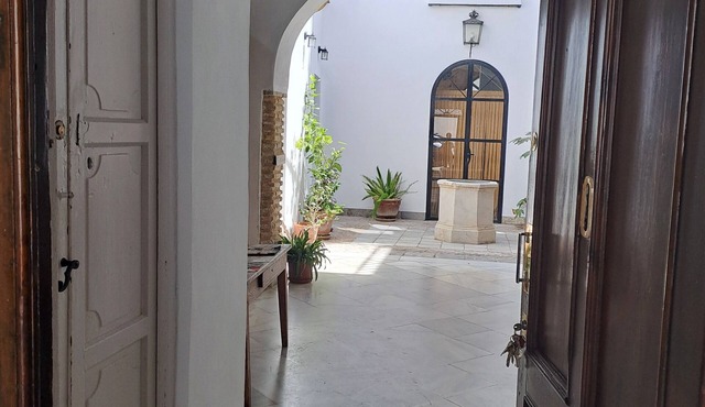 Apartment in Historic Sanluqueña House With Charm