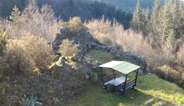 Apartment/flat - Borzonasca