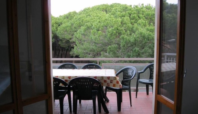 Apartment/flat - Marina di Grosseto (GR)