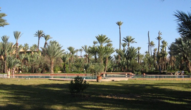 Apartment/flat - MARRAKECH