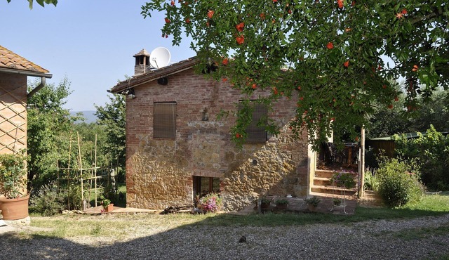 Apartment/Flat - Sovicille