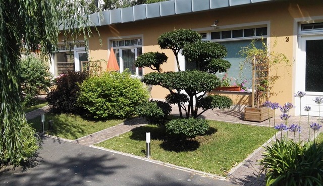 Apartment for 3 guests with 38m² in Dresden (163874)