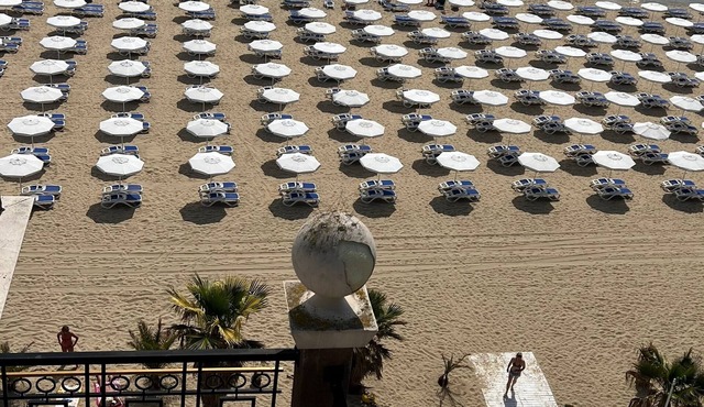 Apartment for 4 guests with 56m² in Sunny Beach (242432)
