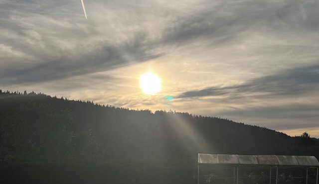 Apartment for max. 3 persons on the outskirts of Sonneberg in a beautiful south-facing location