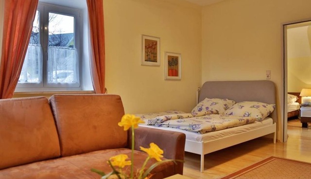 Apartment ground floor No. 1 - house Pleterski