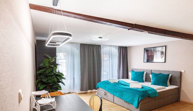Apartment “Harmonie Oasis” with Wi-Fi and Air Conditioning