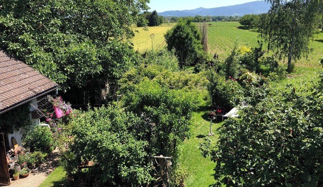 Apartment "Haus Schwarzwaldblick" with Mountain View, Wi-Fi & Balcony