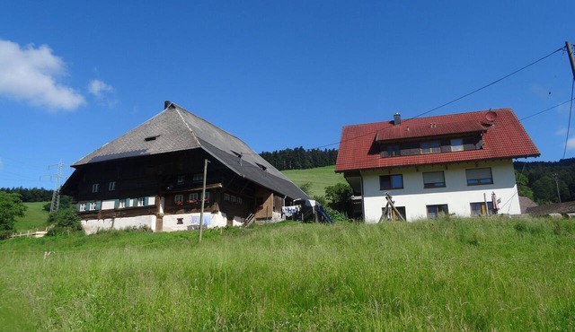 Apartment 'Hinterbauernhof Eschbach' with Mountain View, Private Terrace and Wi-Fi