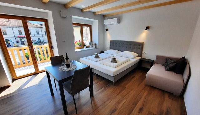 Apartment Hlapi (3) with private SPA