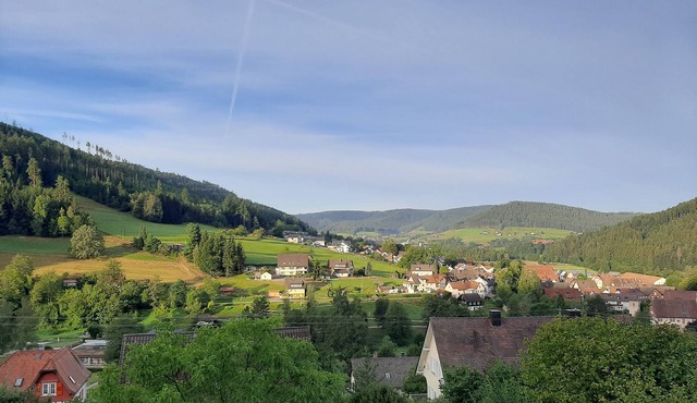 Apartment in the Northern Black Forest 40 m²