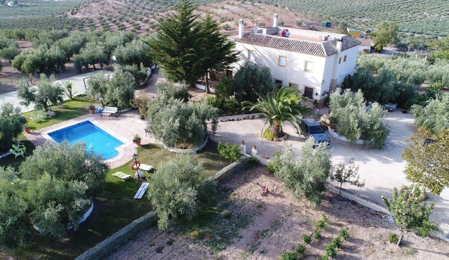 APARTMENT IN ECOLOGICAL AGROTURISMO PLACED IN THE GEOGRAPHICAL CENTER OF IDEAL ANDALUSIA FOR EXCURSIONS FOR ANDALUSIA
