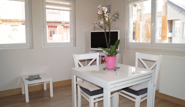 apartment in Honfleur city center with parking