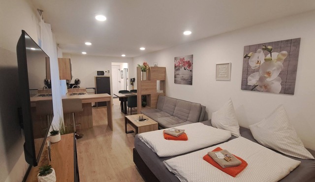 Apartment kitchen, WLAN, SMART TV, modern, 1 double bed in Roding