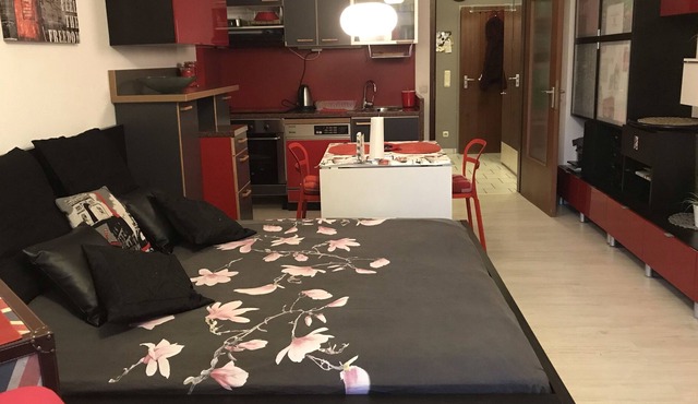 Apartment -Mainz