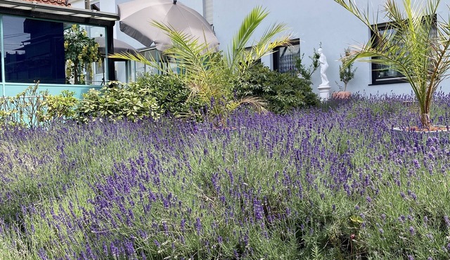 Apartment mit Duschbad, Wintergarten und Terrasse im Schönen Taunus, Ruhige Lage