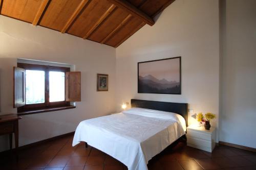 apartment monte, relax in the hills of Florence