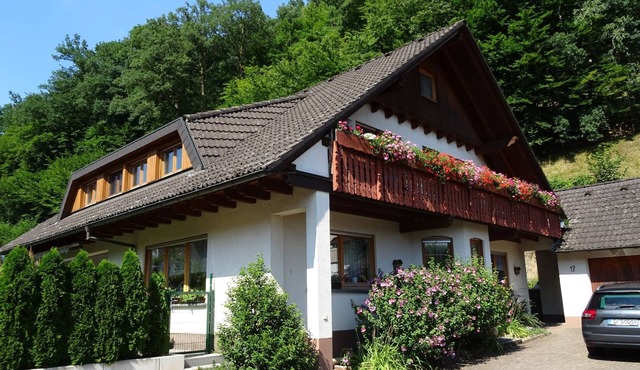 Apartment 'Mühlengrün' with Mountain View, Balcony and Wi-Fi