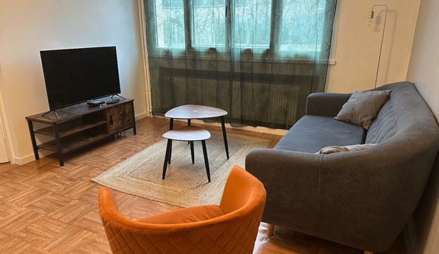 Apartment near AJA and Auxerre train station
