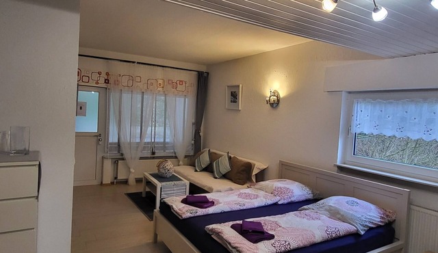 Apartment near Frankfurt/Wiesbaden: FewoEla1