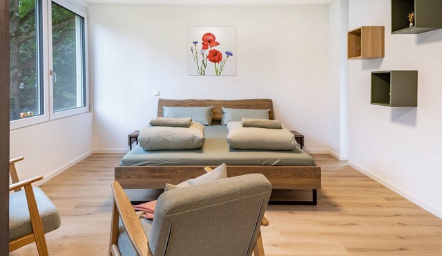 Apartment 'Neumagen' with Shared Garden and Wi-Fi
