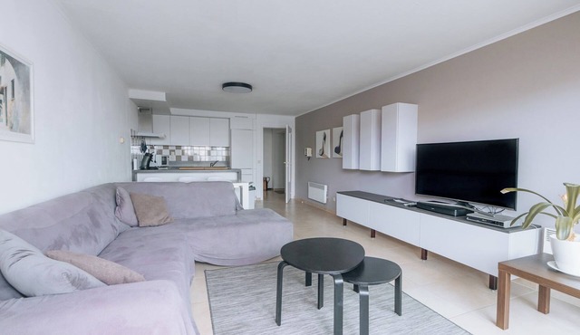 Apartment Nieuwpoort near Beach Promenade