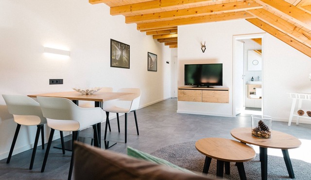 Apartment no. 23 - Modern vacation apartment, 57sqm, 1 bedroom, 1 living/bedroom, max. 3 persons