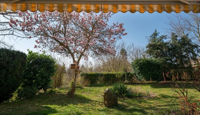 Apartment Oasis - Gemütliche Wohnung mit Garten
