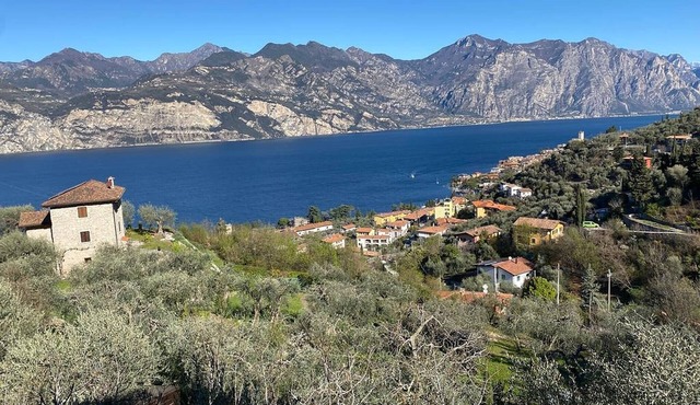 Apartment 'Olive Grove House' with Lake View, Private Terrace and Shared Garden