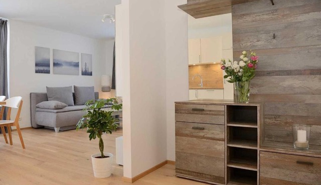Apartment Olperer