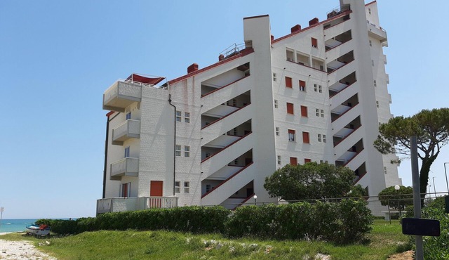 Apartment on Marche Coast with Sea View