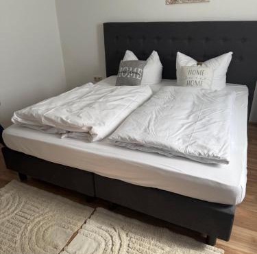 Apartment Plini