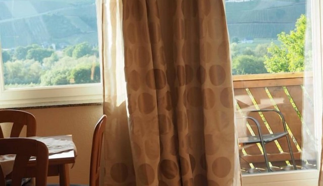 Apartment-Private Bathroom-FeWo mit Moselblick 1