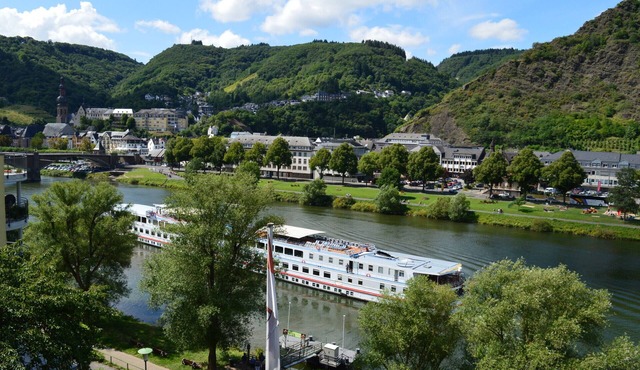 Apartment Riesling with Moselle view