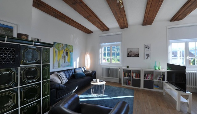 Apartment 'Schöne, Helle Wohnung In Rheinnähe'