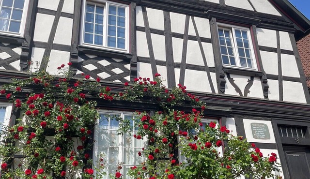 Apartment 'Scheffelhaus' with Wi-Fi