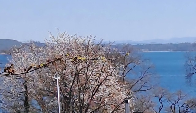 Apartment 'Seeblick-Konstanz' with Lake View and Wi-Fi