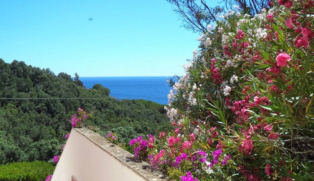Apartment surrounded by tranquility with beautiful sea view