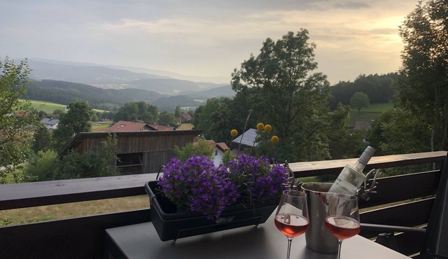 Apartment Tälerblick Maxi - with large balcony and great view