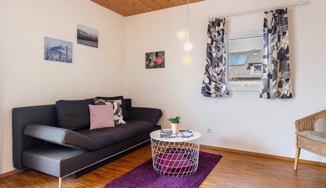 Apartment "Trollinger" with Balcony and Wi-Fi
