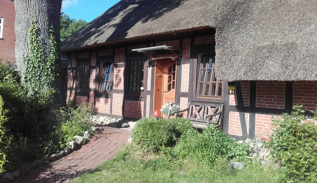 Apartment-under-thatch