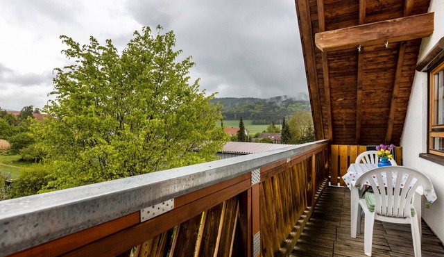 Apartment 'Unterm Dreifaltigkeitsberg' with Balcony and Wi-Fi