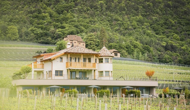 Apartment 'Valentinerhof Apt Air' with Mountain View, Shared Pool and Wi-Fi