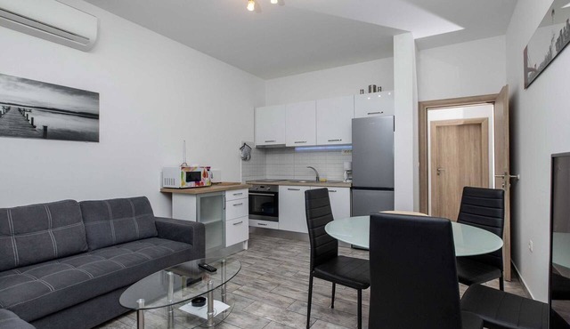 Apartment Villa Andelka with Swimming Pool