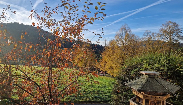 Apartment 'Villa Schwarzwaldblick'